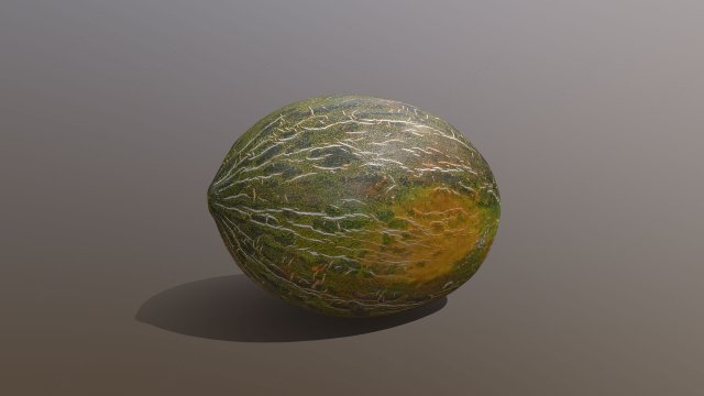 Piel De Sapo Melon 3D Модель .c4d .max .obj .3ds .fbx .stl .blend 