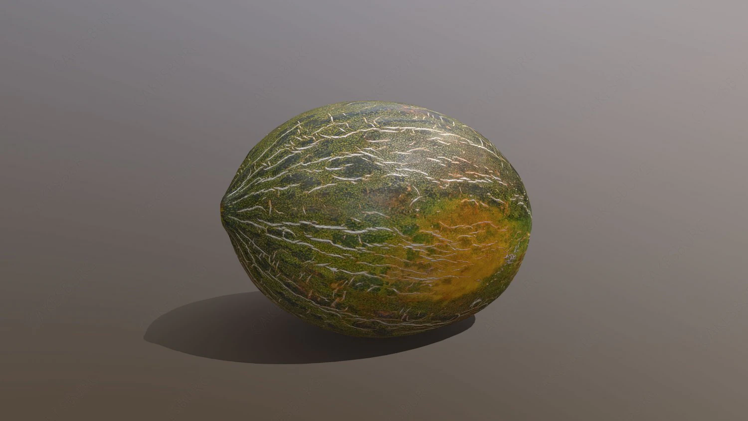 Piel De Sapo Melon 3D Model .c4d .max .obj .3ds .fbx .stl .blend 