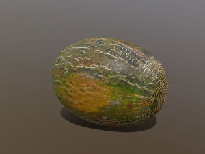 Piel De Sapo Melon 3D Модель