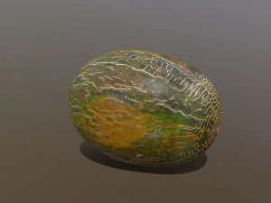 Piel De Sapo Melon 3D Model