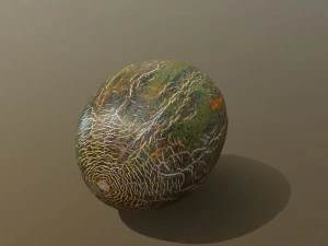 Piel De Sapo Melon 3D Model