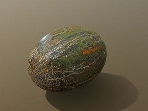 Piel De Sapo Melon 3D Модель