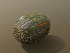 Piel De Sapo Melon 3D Model