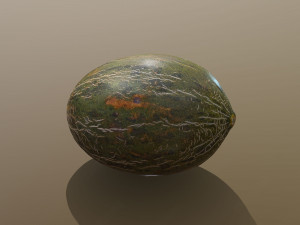 Piel De Sapo Melon 3D Модель