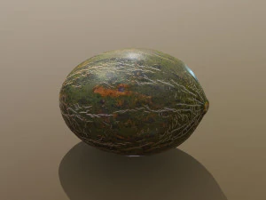 Piel De Sapo Melon 3D Model