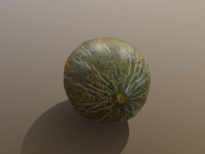 Piel De Sapo Melon 3D Модель
