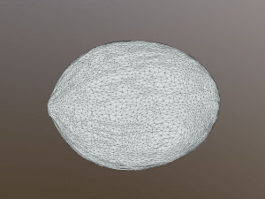 Piel De Sapo Melon 3D Модель