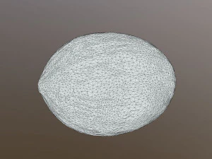 Piel De Sapo Melon 3D Model