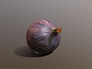 Turkish Black Bursa Fig Modelo 3D