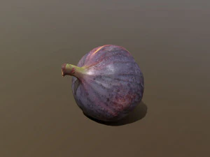 Turkish Black Bursa Fig 3D Model