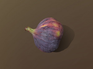 Turkish Black Bursa Fig Modelo 3D