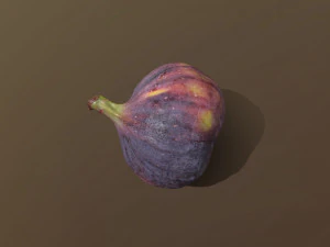 Turkish Black Bursa Fig 3D Model