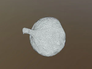 Turkish Black Bursa Fig 3D Model