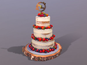 Semi Naked Berry Wedding Cake on Wooden Slice 3D Model