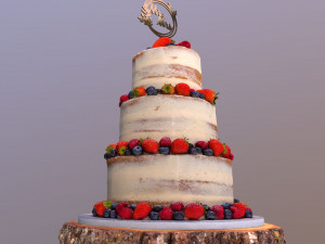 Semi Naked Berry Wedding Cake on Wooden Slice 3D Модель
