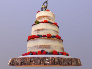 Semi Naked Berry Wedding Cake on Wooden Slice 3D Модель