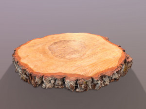 Wooden Log Slice Wedding Cake Stand 3D 模型