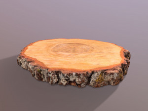 Wooden Log Slice Wedding Cake Stand Modelo 3D