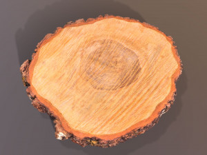 Wooden Log Slice Wedding Cake Stand Modelo 3D