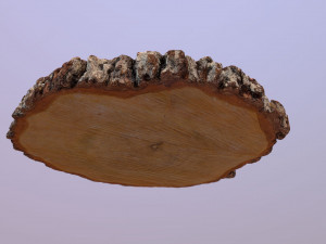 Wooden Log Slice Wedding Cake Stand Modelo 3D