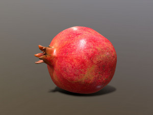 Parfianka Pomegranate 3D Model
