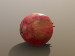Parfianka Pomegranate Modelo 3D