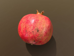 Parfianka Pomegranate Modelo 3D