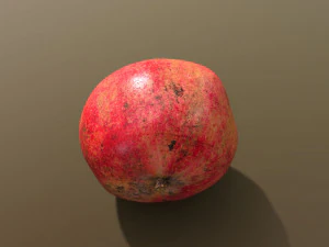 Парфянка Гранат 3D Модель