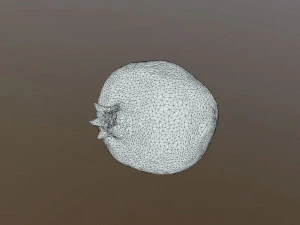 Парфянка Гранат 3D Модель