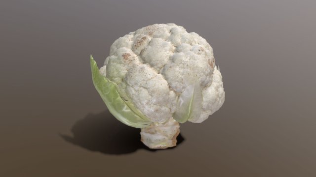 Aguera Cauliflower 3D Модель .c4d .max .obj .3ds .fbx .stl .blend 