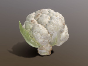 Aguera Cauliflower 3D Model