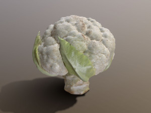 Aguera Cauliflower 3D Модель