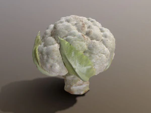 Aguera Cauliflower 3D Model