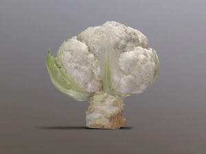 Aguera Cauliflower 3D Model