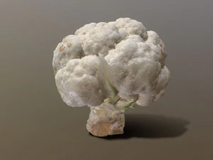 Aguera Cauliflower 3D Model
