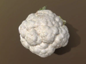 Aguera Cauliflower 3D Model