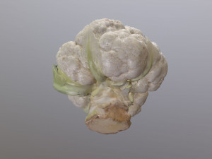 Aguera Cauliflower 3D Модель