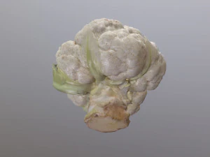 Aguera Cauliflower 3D Model