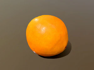 Novel Orange 3D Model