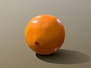 Novel Orange 3D Model