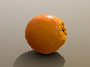 Novel Orange 3D Model