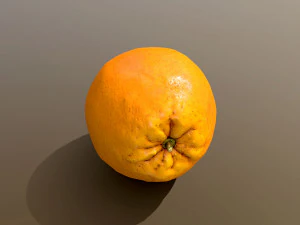 Novel Orange 3D Model