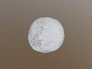 Novel Orange 3D 模型