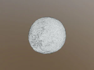 Novel Orange 3D Model