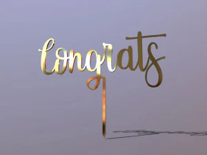 恭喜蛋糕礼帽 3D 模型