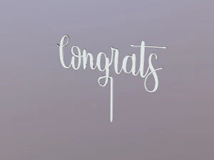 恭喜蛋糕礼帽 3D 模型