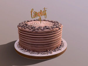 Chocolate Shaved Congrats Buttercream Cake 3D Model