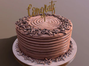 Chocolate Shaved Congrats Buttercream Cake 3D Model
