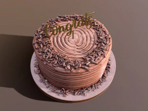 Chocolate Shaved Congrats Buttercream Cake 3D Model