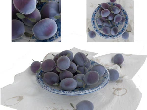 푸른 자두 3D 모델